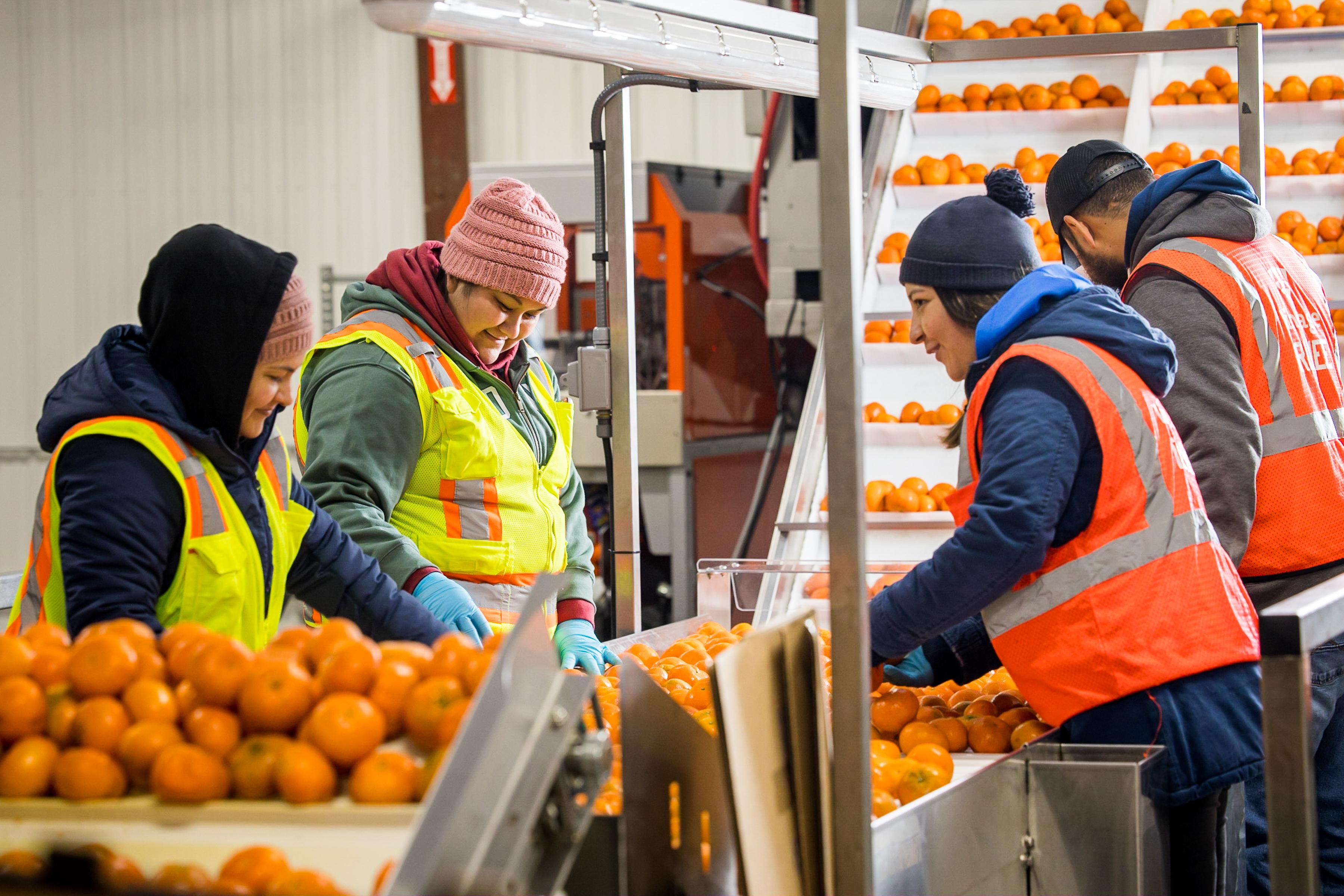 The Solution to Feeding the World Lies in the Cold Chain 