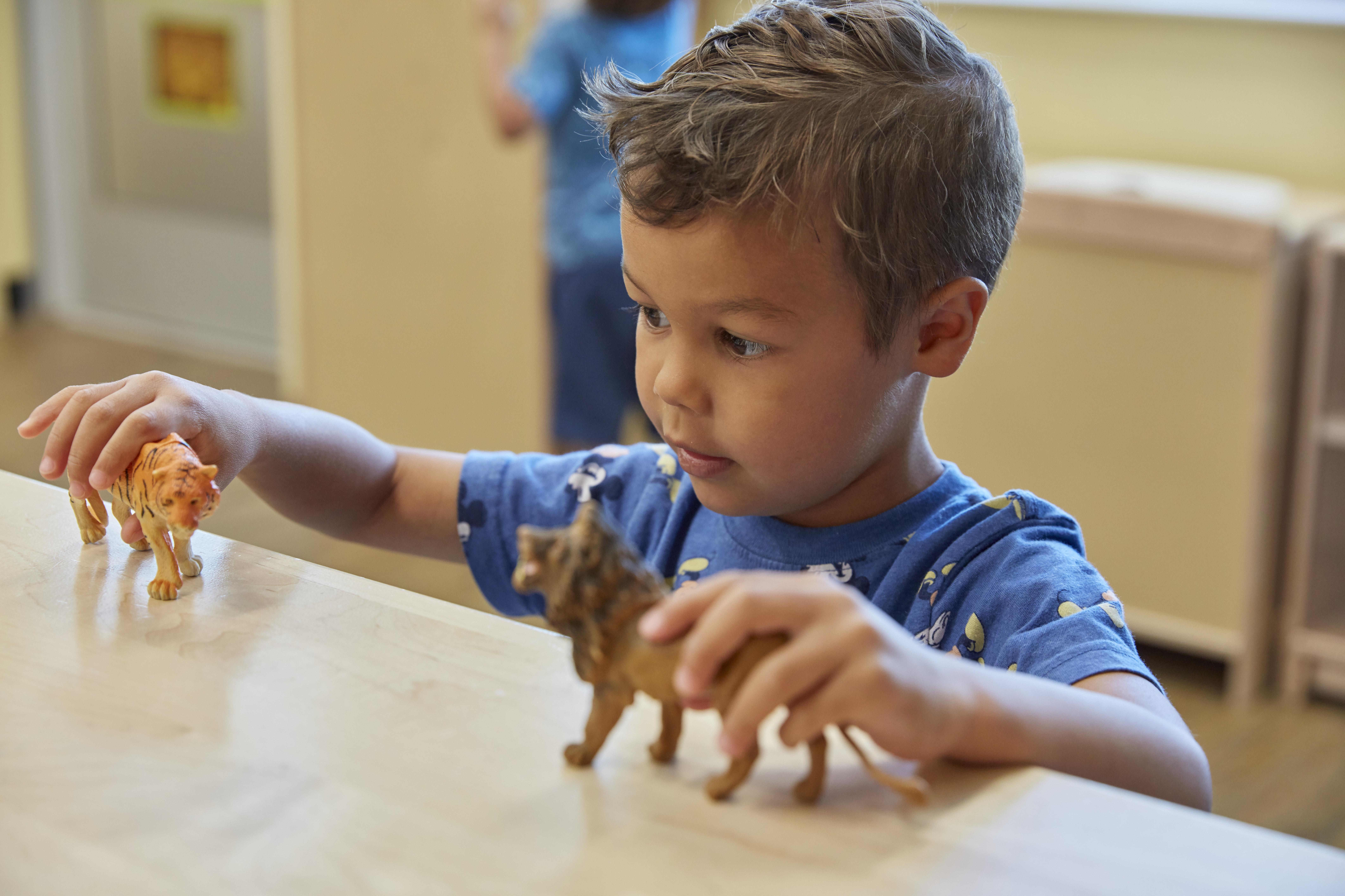 Tame the Toy Chaos Before the Holidays  Tame the Toy Chaos Before the Holidays