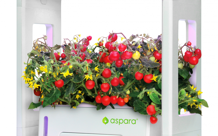 aspara: Try a Smart Way to Grow Your Garden