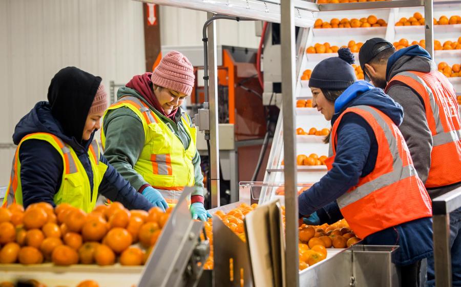 The Solution to Feeding the World Lies in the Cold Chain 