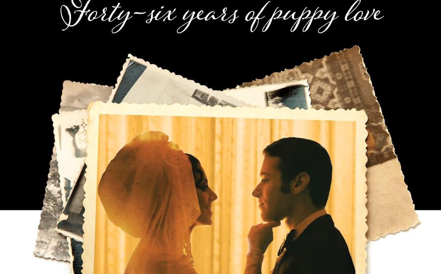 Forty-Six Years of Puppy Love – As Told Through Shiva Eyes