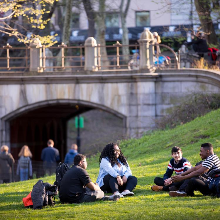 Navigating the College Application Process 