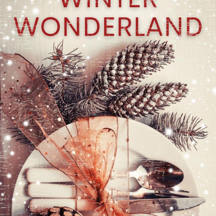 Killer in a Winter Wonderland: Latest in Cozy Mystery Series Takes on Holiday Aura