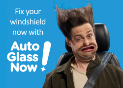 Need Auto Glass Repair? Don’t Despair